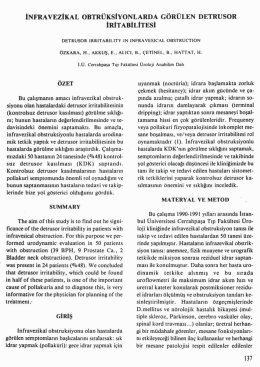 Tam Metin (PDF)