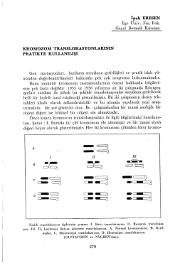Kromozom Translokasyonlarının Pratikte Kullanılışı