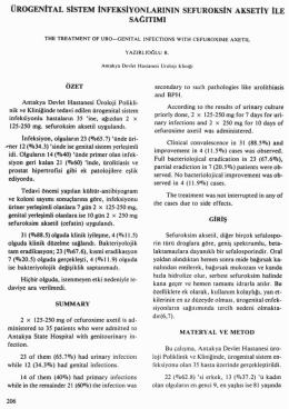 Tam Metin (PDF)