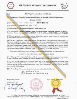 IEP ENERGY PETROLEUM INSTITUTE