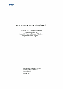 2013 Aralık Konsolide Olmayan Bağımsız Denetim
