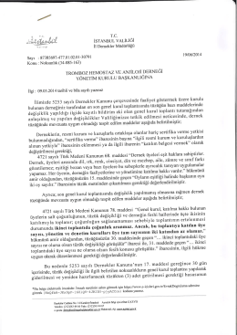 İSTANBUL vALİLİGı