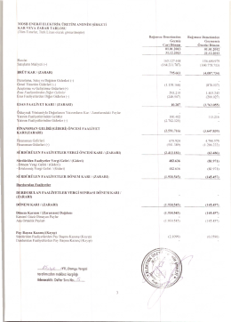2013 yılı gelir tablosu