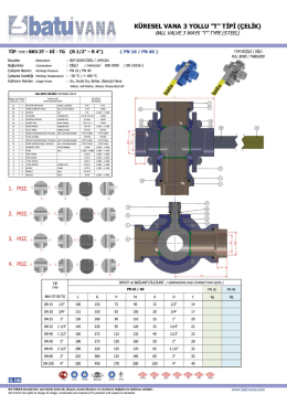 PN 16/40 3 Y-T Full Bore/Threaded