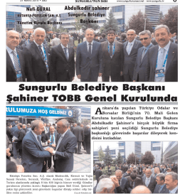 www.sungurlununsesi.nei