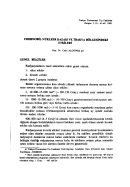 Bu PDF dosyasını indir