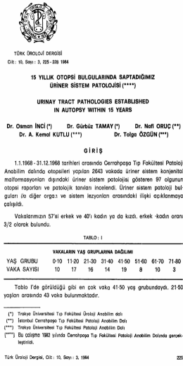 Tam Metin (PDF)