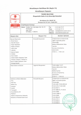 TEKNİK MUAYENE Ekspertizlik Kalite Ve İş G&uuml;venliği Hizmetleri