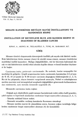 Tam Metin (PDF)