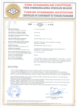 T&Uuml;RK sTANDARDLARı ENsTiT&uuml;s&uuml;