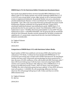 MSC NutriStem XF Test Result