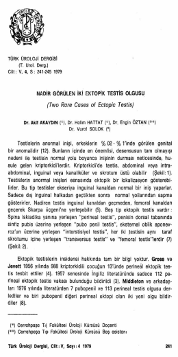Tam Metin (PDF)