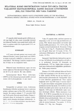 Tam Metin (PDF)