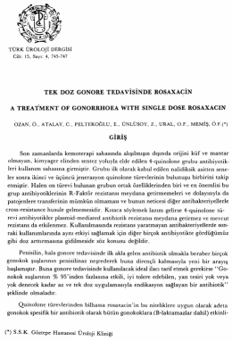 Tam Metin (PDF)