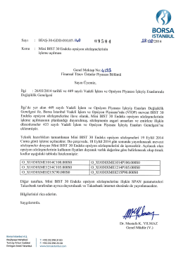4193_Genel Mektup_Mini Bıst 30 Endeks Opsiyon S&ouml;zleşmelerinin