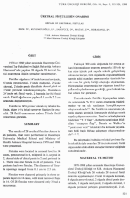 Tam Metin (PDF)