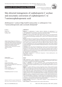 Site-directed mutagenesis of cephalosporin C acylase and