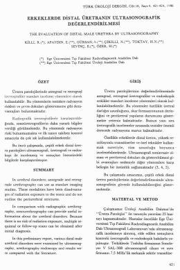 Tam Metin (PDF)