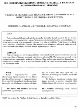 Tam Metin (PDF)
