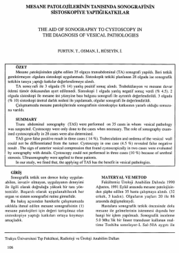 Tam Metin (PDF)