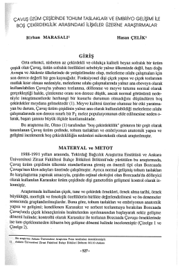 çAvuş ÜZÜM ÇEŞİDİNDE TOHUM TASLAKLARİ vE EMBRİYO
