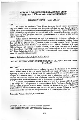 ANK/_ARA kALEcİK KARAsı &Uuml;Z&Uuml;M &ccedil;EŞİDi