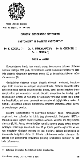 Tam Metin (PDF)