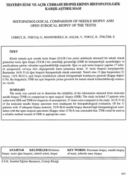 Tam Metin (PDF)