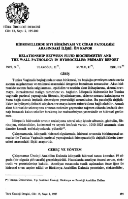 Tam Metin (PDF)