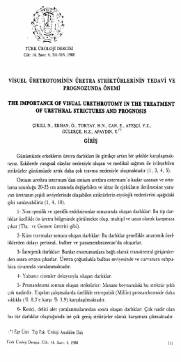 Tam Metin (PDF)