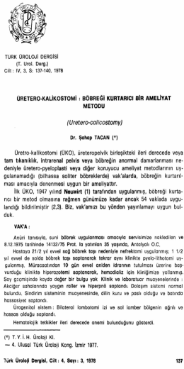 Tam Metin (PDF)
