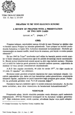 Tam Metin (PDF)