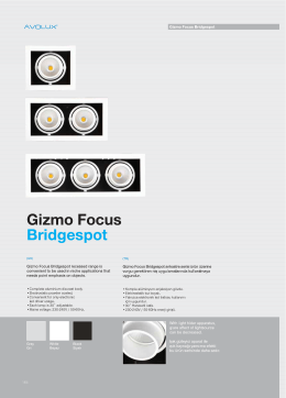 Gizmo Focus Bridgespot