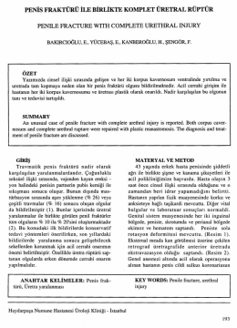 Tam Metin (PDF)
