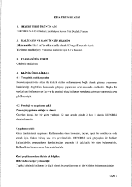 kısa ürün bilgisi