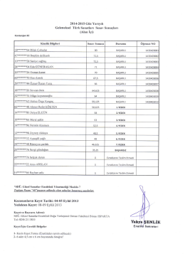 (Ala n i&ccedil;i) - G&uuml;zel Sanatlar Enstit&uuml;s&uuml;
