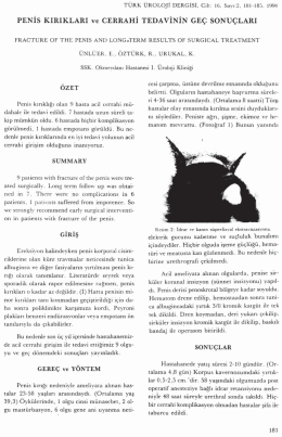 Tam Metin (PDF)