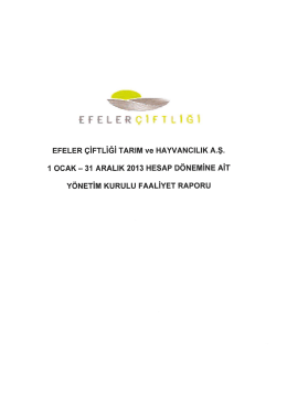 2013 yılı Y&ouml;netim Kurulu Faaliyet Raporu