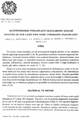 Tam Metin (PDF)