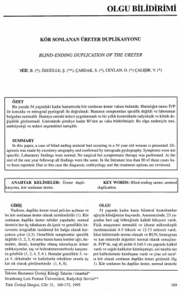 Tam Metin (PDF)