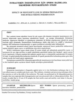 Tam Metin (PDF)