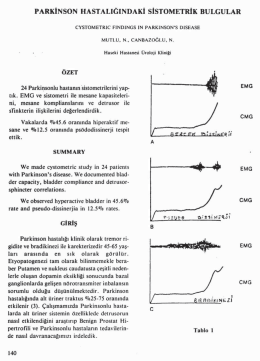 Tam Metin (PDF)