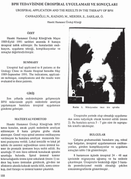 Tam Metin (PDF)