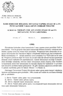 Tam Metin (PDF)