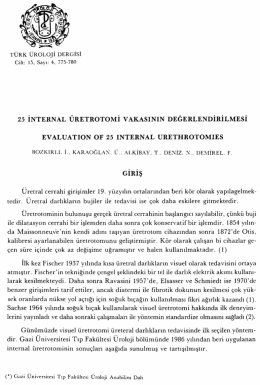 Tam Metin (PDF)