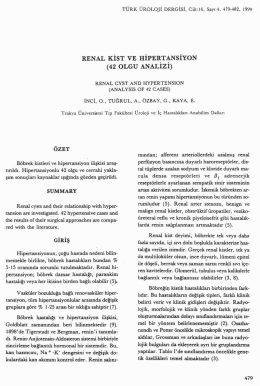 Tam Metin (PDF)