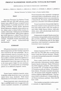 Tam Metin (PDF)