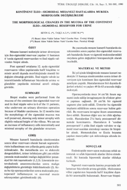 Tam Metin (PDF)