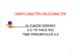 CAMPYLOBACTER-HELİCOBACTER