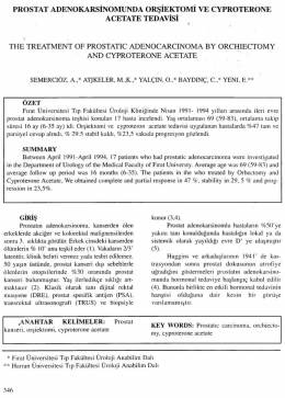 Tam Metin (PDF)
